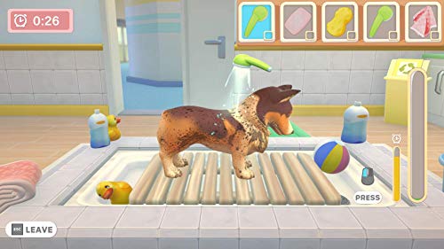 Universul meu-clinica pentru animale de companie: pisici și câini-Nintendo Switch