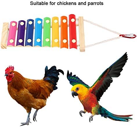 Păsări zerodis agățând jucărie de xilofon, papagal cocoșie pecking xilofon jucărie găină ameliorarea jucăriilor de percuție