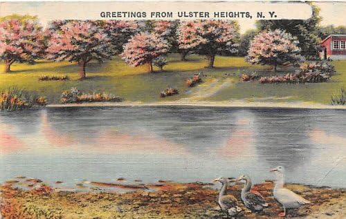 Ulster Heights, Carte poștală din New York