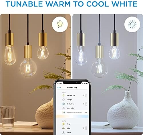 Wiz Connected Tunable White St19 clear Edison filament Lamp, 2700K-5000K, control inteligent cu aplicația WiZ, comenzi rapide compatibile Alexa, Google Assistant și Siri, nu este necesar Hub, 6 becuri