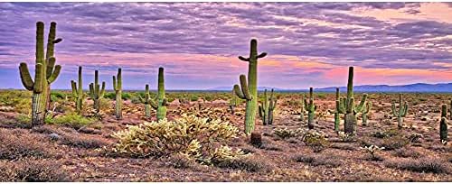 Awert 36x18 inci terariu fundal albastru cer nor imens cactus oază gobi reptile habitat fundal vinil