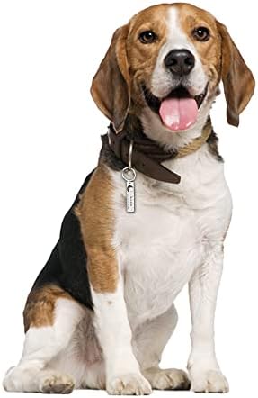 Guler de câini personalizat Etichete anti-pierdere Medalie pentru câini cu numere de gravură Număr gulere de pisici și leashes